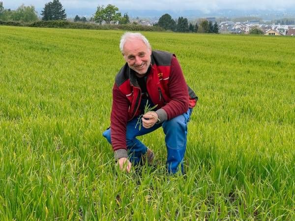 Porträtbild Horst Reiser