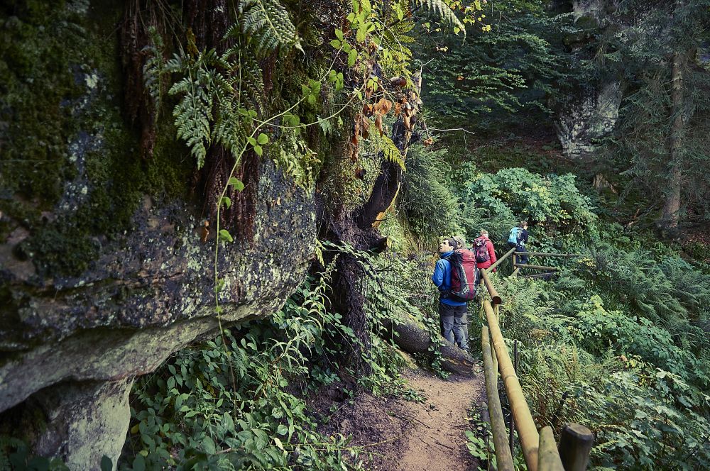 Menschen laufen auf einem schmalen weg entlang eines Felsens in einem Wald.