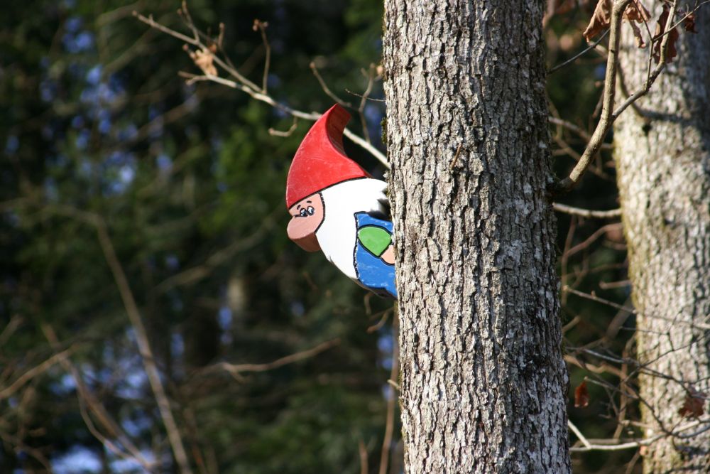 Holzwichtel schaut hinter einem Baumstamm hervor