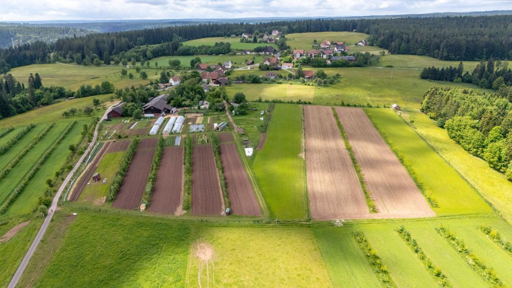 Hof mit Agroforst-System von oben