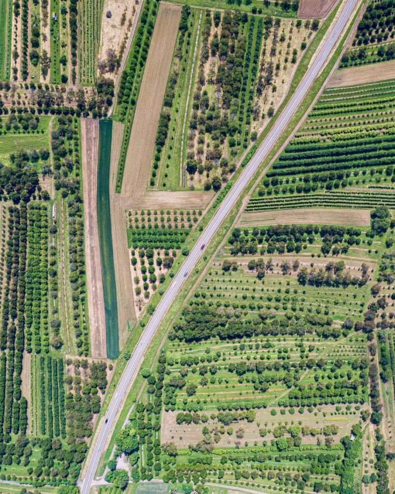 Eine Landschaft mit Wechsel aus Bäumen, Sträuchern, Grünland- und Ackerflächen von oben.