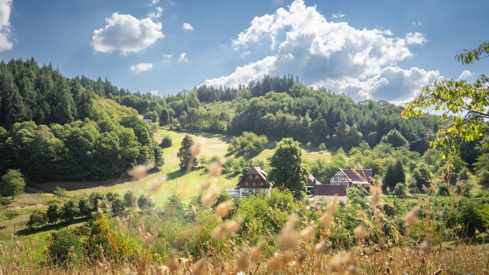 Ein Bauernhof im Fachwerkstil inmitten von Streuobstwiesen, Weiden und Wald.
