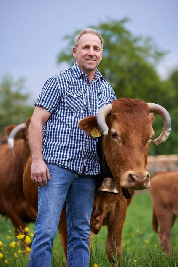 Ein Mann steht neben einem Rind