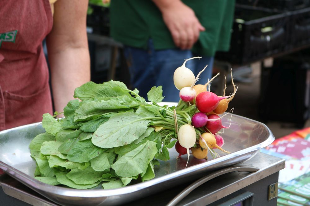 Radieschen auf einer Waage