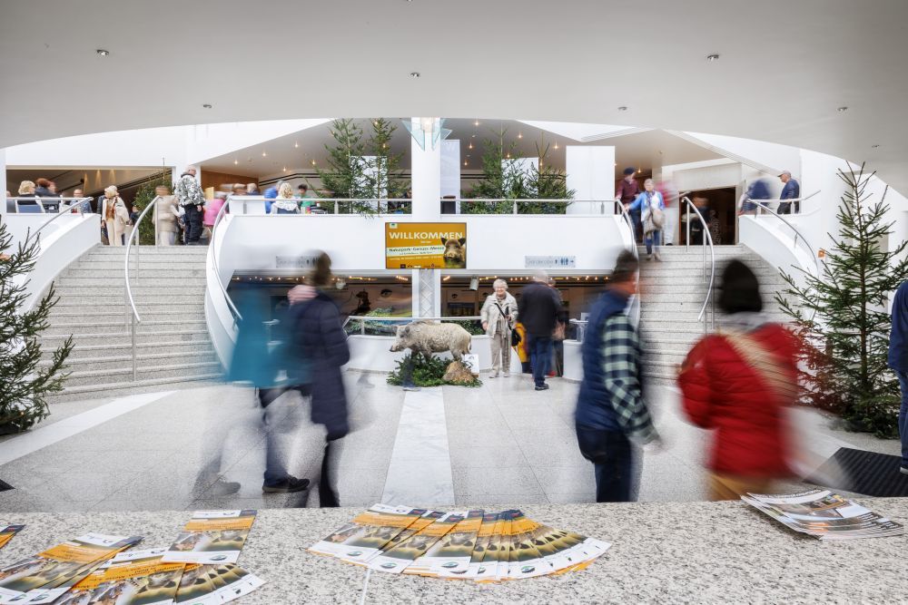 Gebäude von innen, in dem 2024 die Naturpark-Genuss-Messe in Bühl stattgefunden hat. Im Mittelpunkt steht ein ausgestopftes Wildschwein.