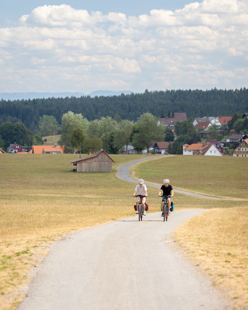 Eine Frau udn ein Mann fahren mit einem geteerten Weg auf Fahrrädern über ein Feld.