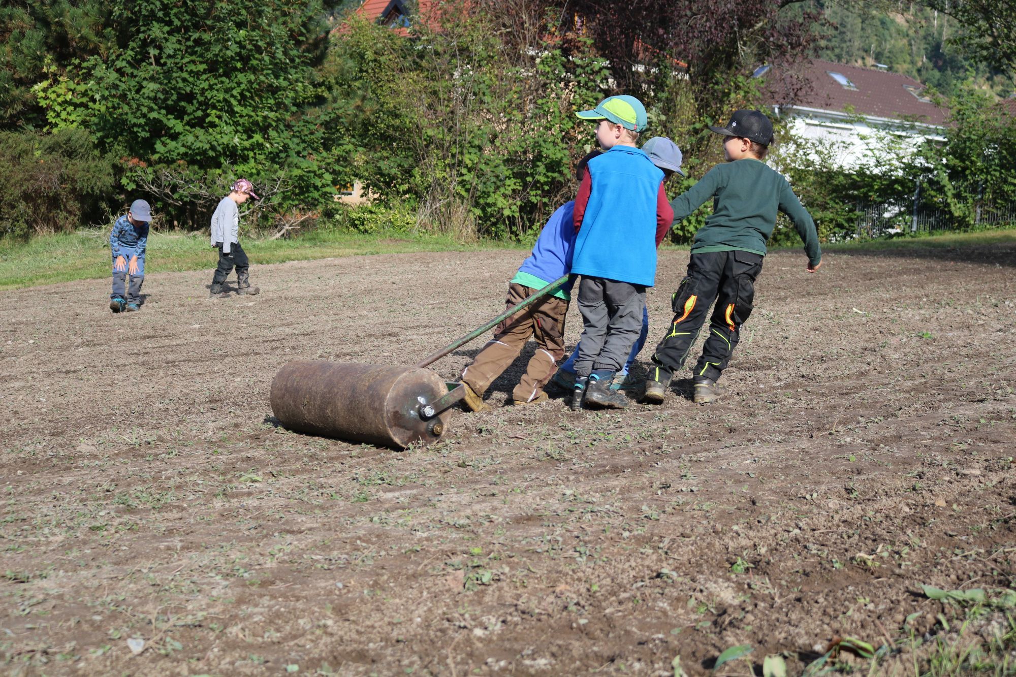 Einsaat Zell am Harmersbach, Foto: Naturpark Schwarzwald Mitte/Nord e. V.