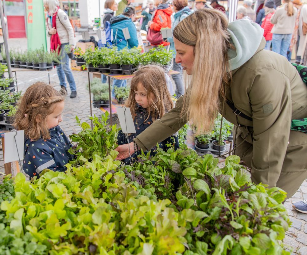 Eine Frau zeigt zwei Mädchen verschiedene Pflanzen an einem Marktstand.