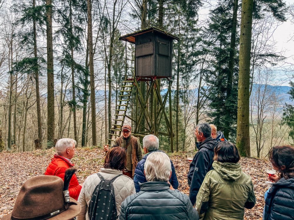 Eine Menschen-Gruppe steht mit einem Jäger vor einem Hochsitz im Wald.