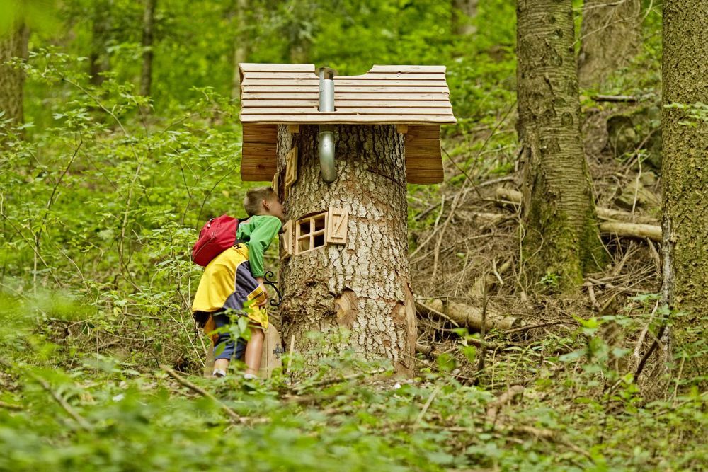 Kinder schaut sich ein Holzbaumhaus im Wald an.