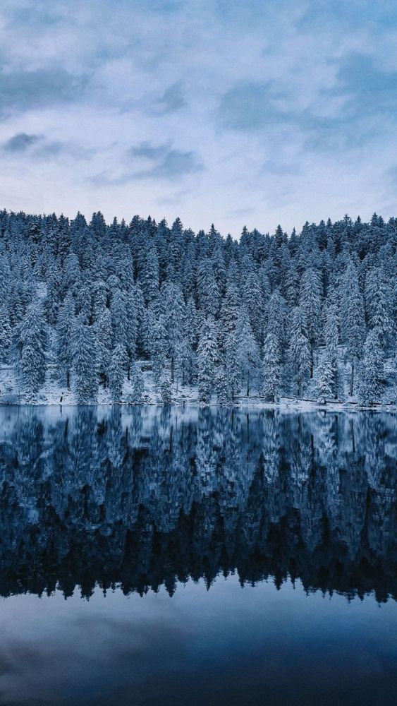 Mit Schnee bedeckte Nadelbäume spiegeln sich in einem See. Foto: Naturpark Schwarzwald Mitte/Nord e. V.