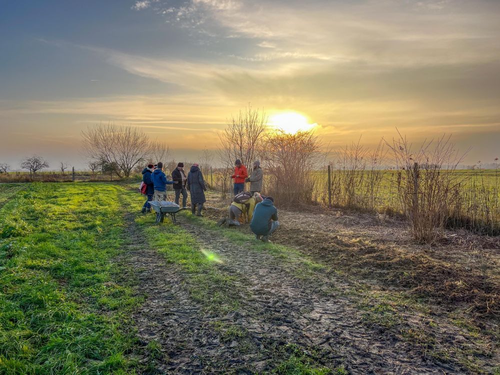 Menschen arbeiten auf einem Acker.