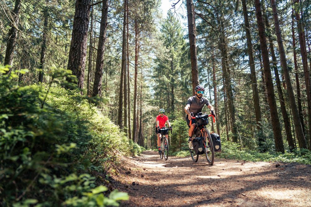 Ein Mann und eien Frau fahren auf ihren Gravel Bikes einen Waldweg hinab.