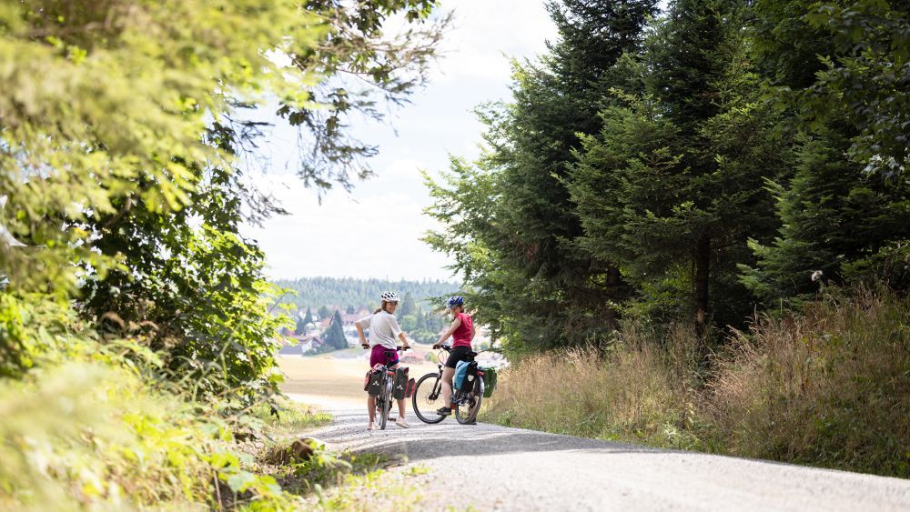 Zwei Frauen sitzen auf ihren Fahrrädern und fahren vom Wald hinaus aufs Feld.