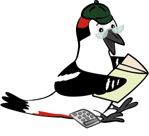 Naturpark Detektive - Specht Bücher 