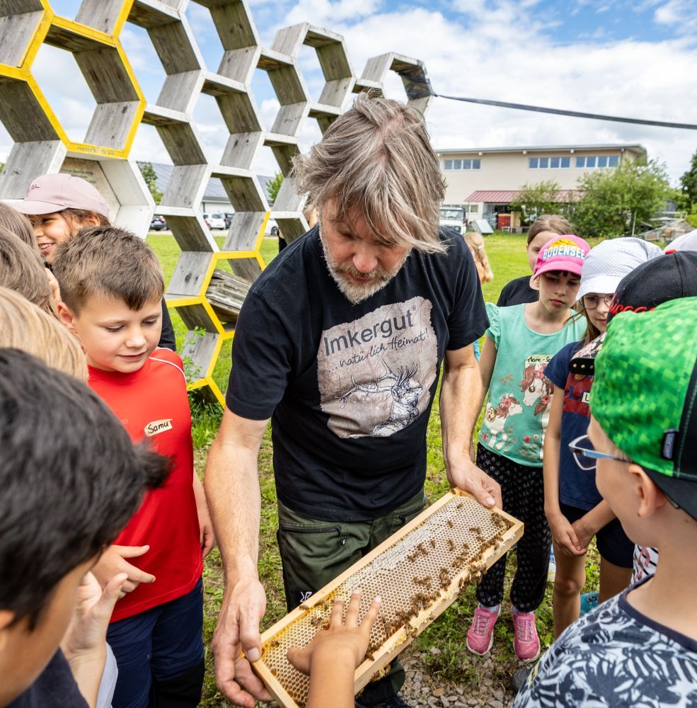 Ein Imker zeigt Schülern eine Bienenwabe.