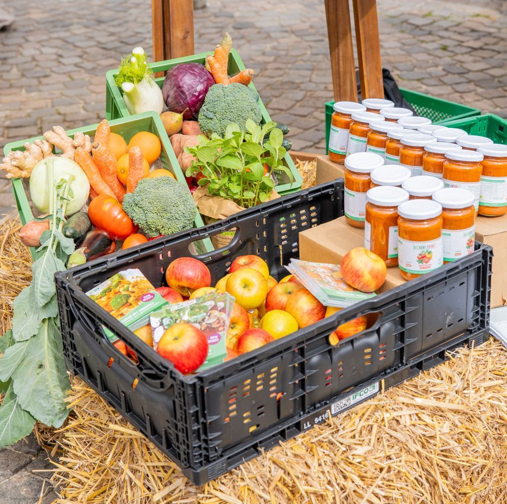 Kiste mit Bio-Produkten