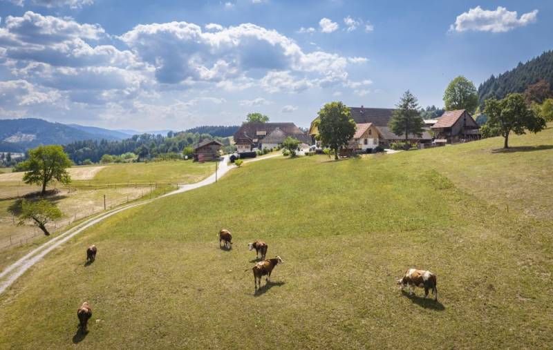 Foto: Dietmar Denger