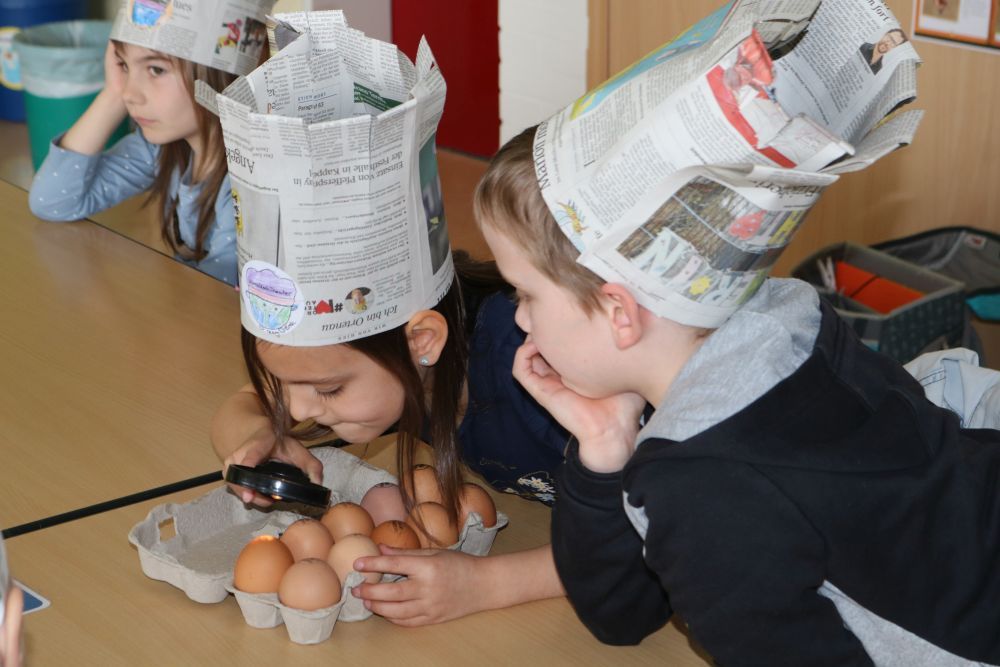 Zwei Kinder überprüfen mit einer Lupe den Stempel auf Eiern.