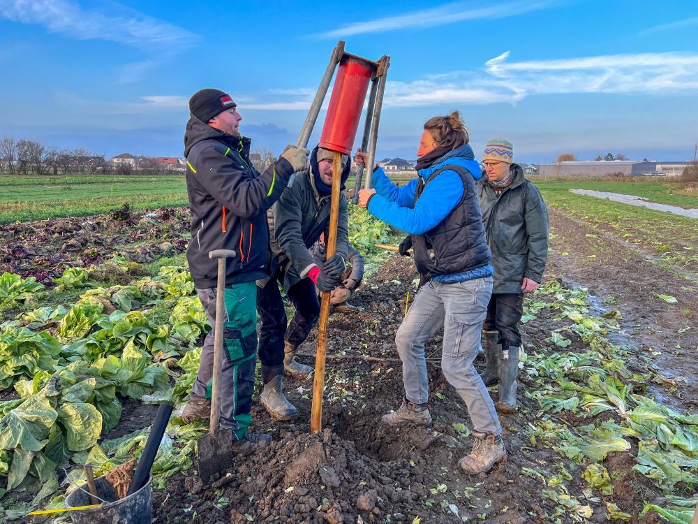 Menschen rammen einen Holzpfahl in einen Acker.