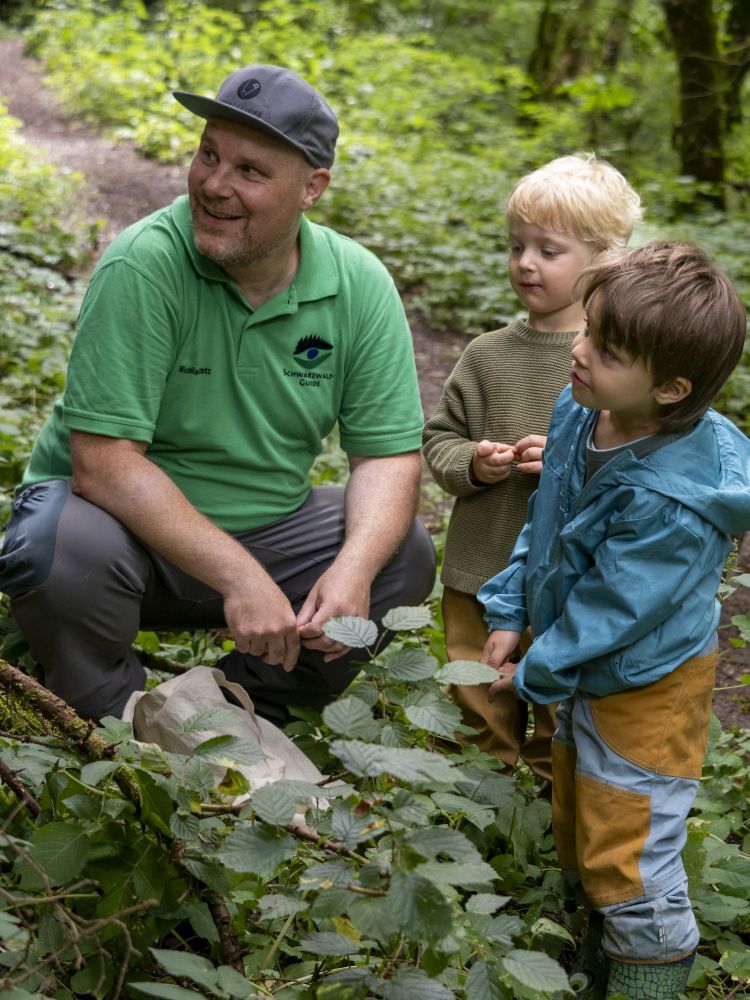Ein Mann und zwei kleine Jungs im Wald