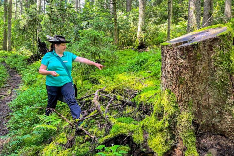 Mitarbeiterin im Schwarzwald