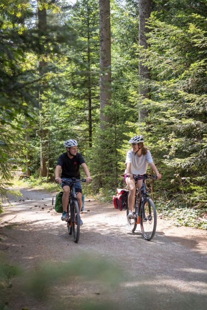 Ein Mann und eine Frau fahren mit dem Rad auf einem Waldweg durch den Wald.