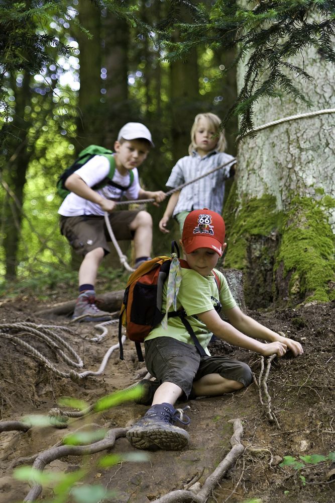 Kinder hangeln sich an einem Seil entlang einen steilen Waldpfad hinunter.